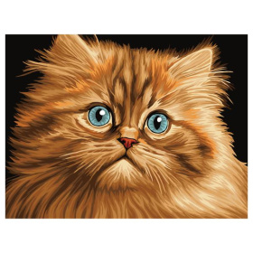 Картина по номерам 30*40 см ТРИ СОВЫ Пушистый котенок, на картоне с акриловыми красками и кистями